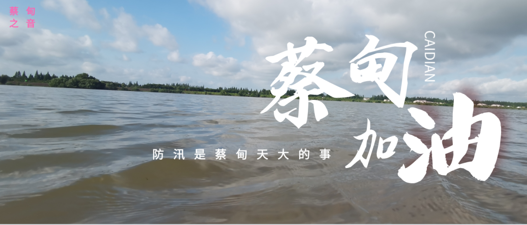 蔡甸區(qū)啟動防汛ⅰ級應急響應，做好鋪土釘防汛木樁工作