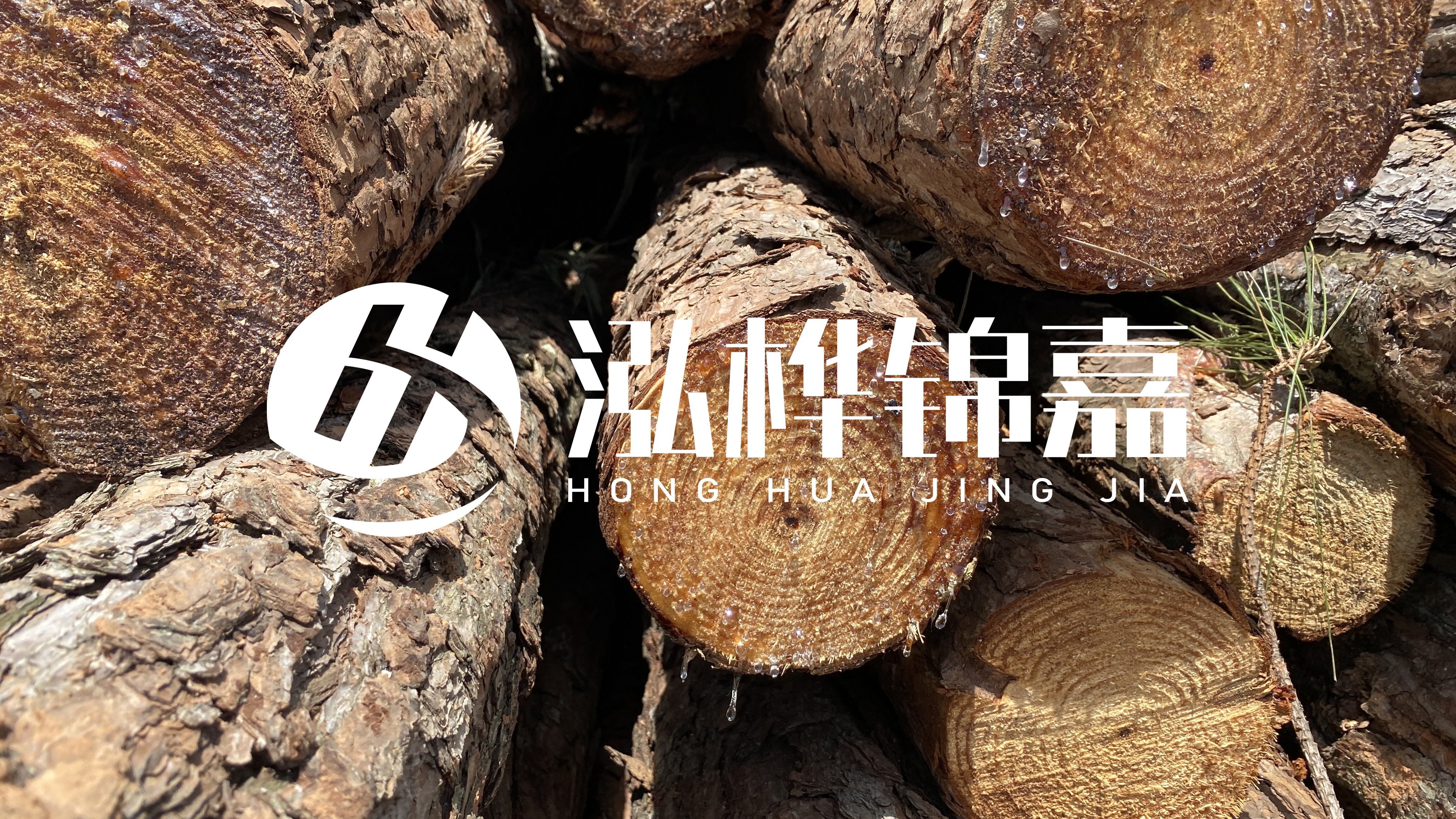 為什么要用松木樁治理河道？