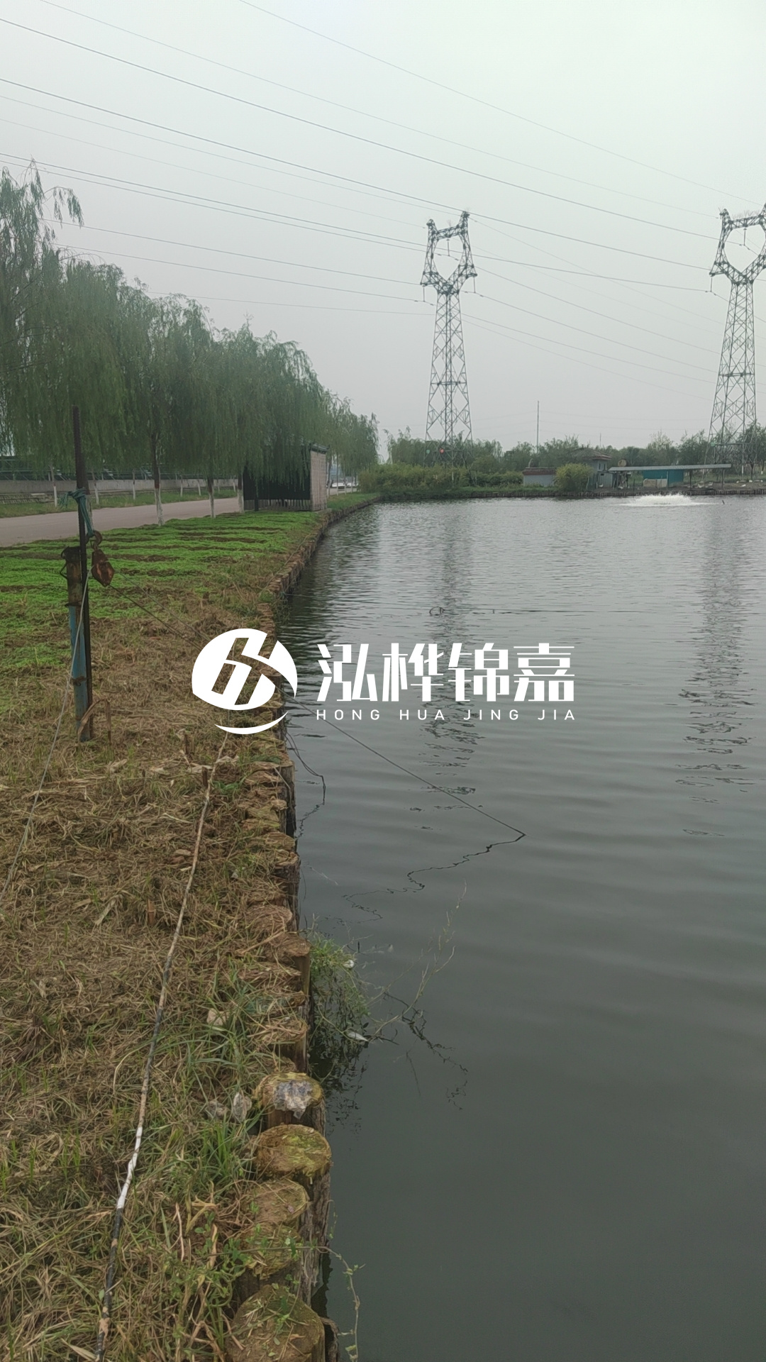 大同河道打松木樁施工-護(hù)坡木樁新的好還是舊的？