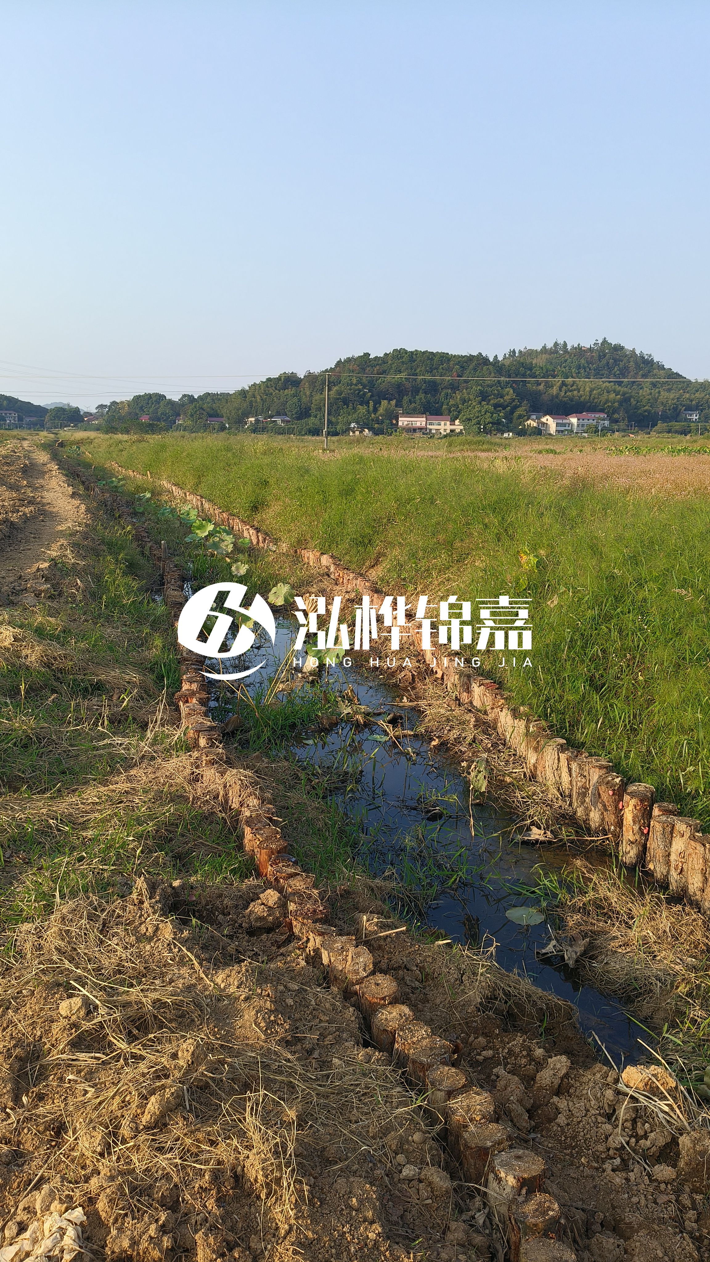 河道護(hù)坡打木樁的目的全解析：你知道幾個？
