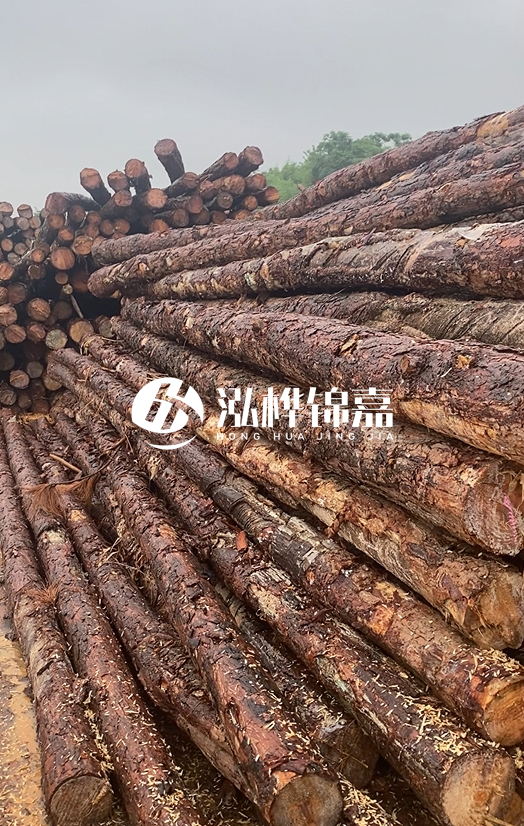 購買松木樁注意事項(xiàng)有哪些-不同直徑松木樁區(qū)別有哪些？