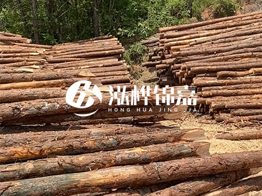 松木樁的運(yùn)輸費(fèi)用是否包含卸車費(fèi)？卸貨時(shí)需要注意哪些安全問題？